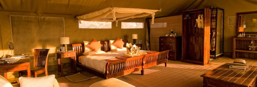 Linyanti Bush Camp- Botswana