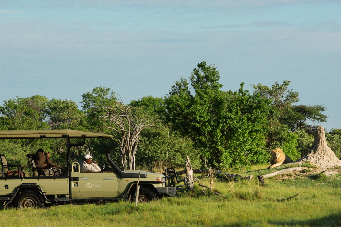 Kwara Camp Okavango