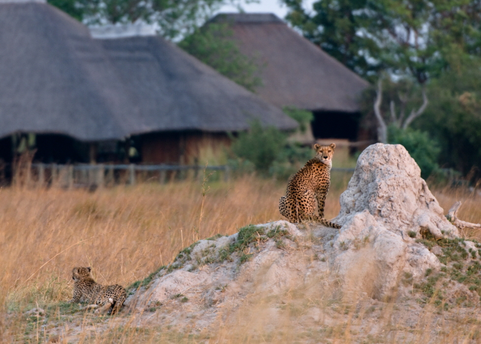 Lebala Camp Kwando reserve