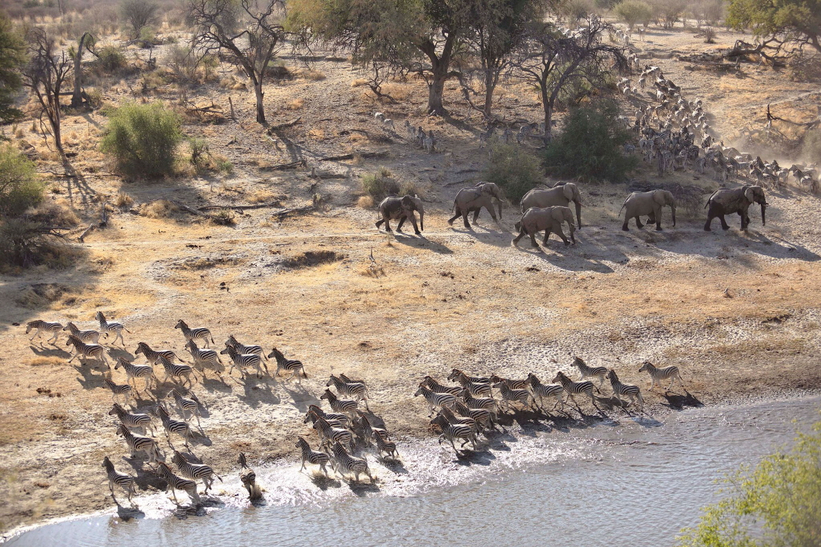 Meno a Kwena Botswana Migration