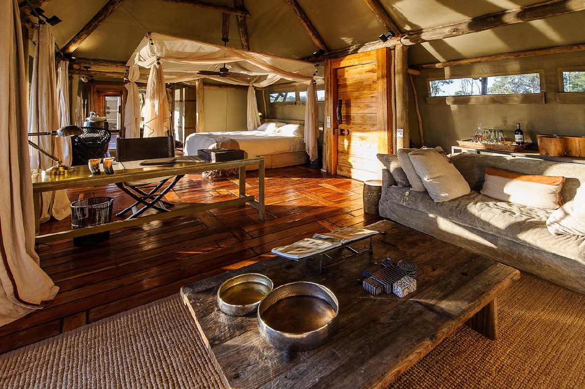 Mombo Camp 