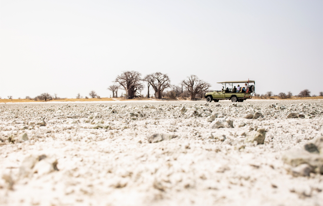 Nxai Pan Camp Makgadikgadi