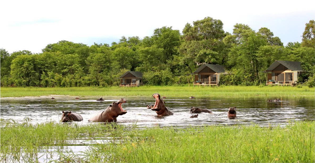 Botswana Sable Alley