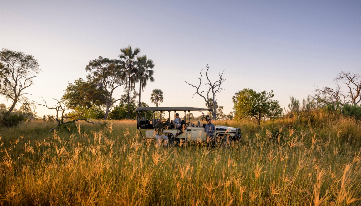 Stanleys Camp Okawango