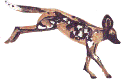 Wildhunde Botswana