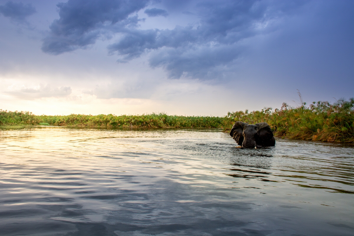 Splash Camp Kwando Safaris Botswana