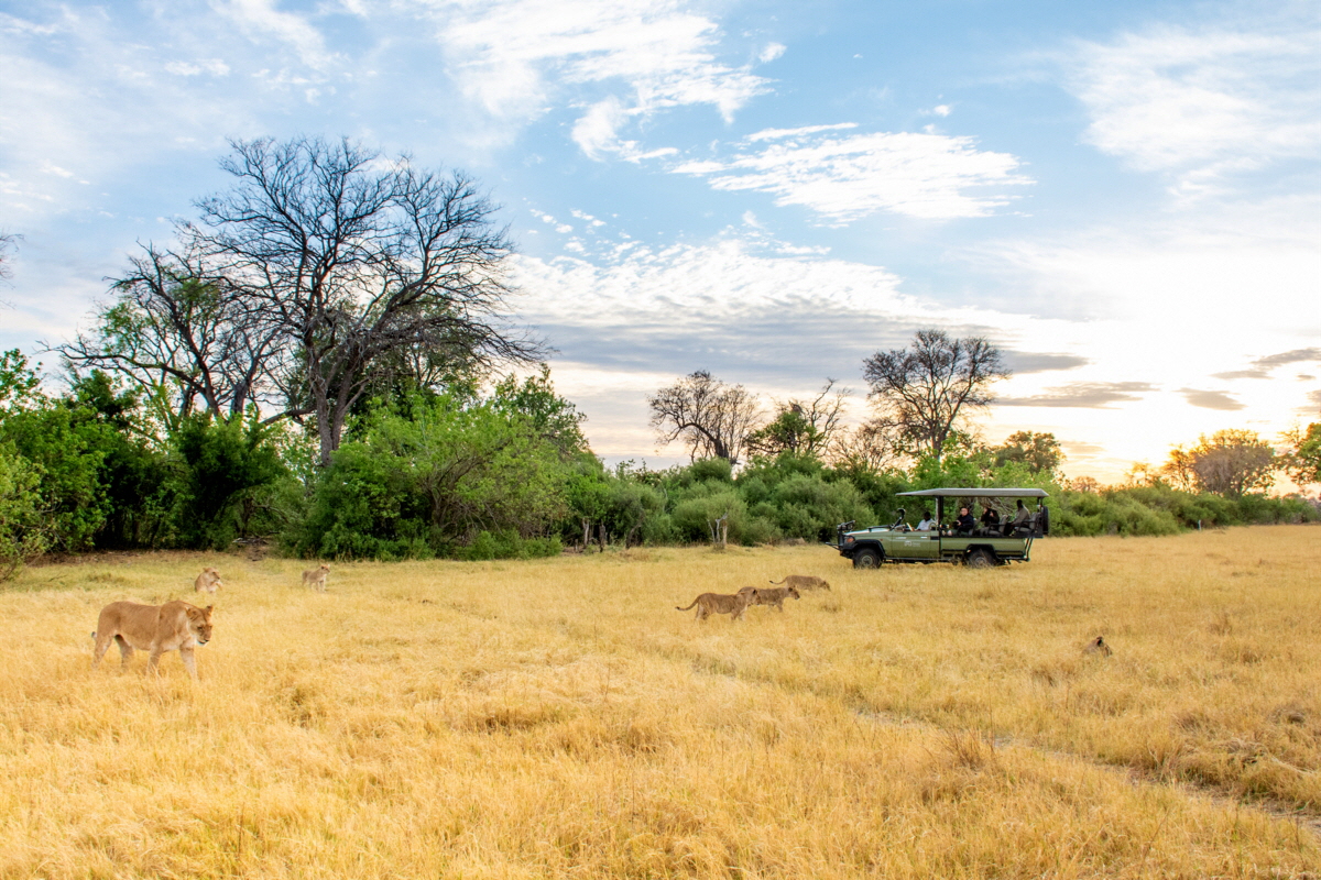 Splash Camp Kwando Safaris Botswana