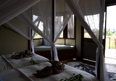 Baines Camp, Okavango