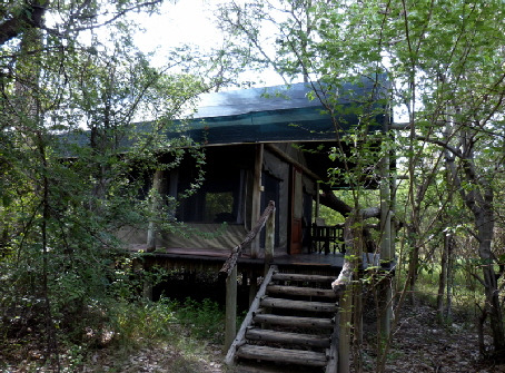 Maun Royal Tree Lodge