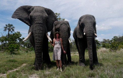 botswana-elefantenwanderung