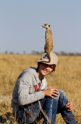 Botswana Safari Erdmnnchen