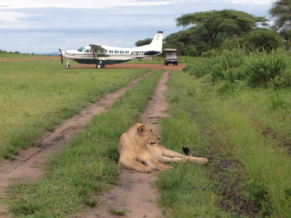 Botswana Wilderness Camps