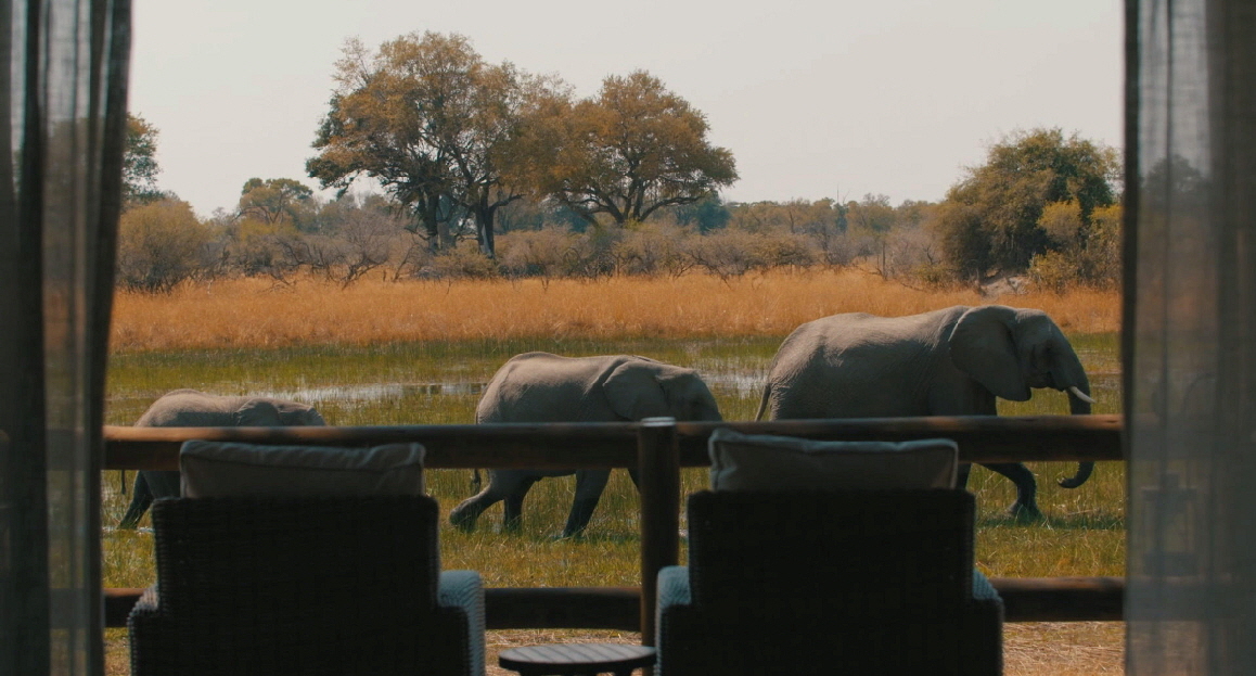 Chiefs Camp Sanctuary