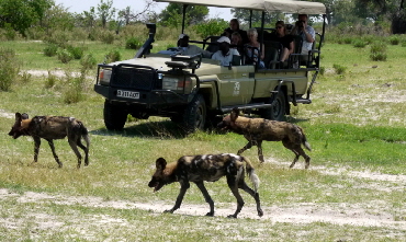 Kwara Camp Okawango