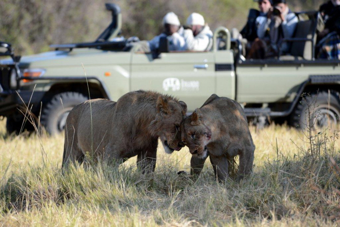 Kwara Camp Okavango