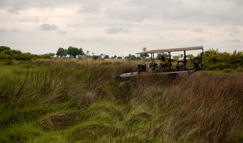 Kwetsani Camp Okavango
