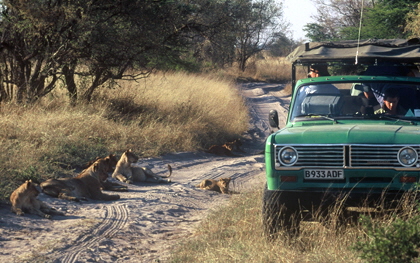 Botswana Campingsafari