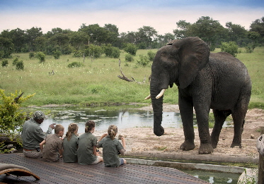 Somalisacamp  in Hwange Zimbabwe