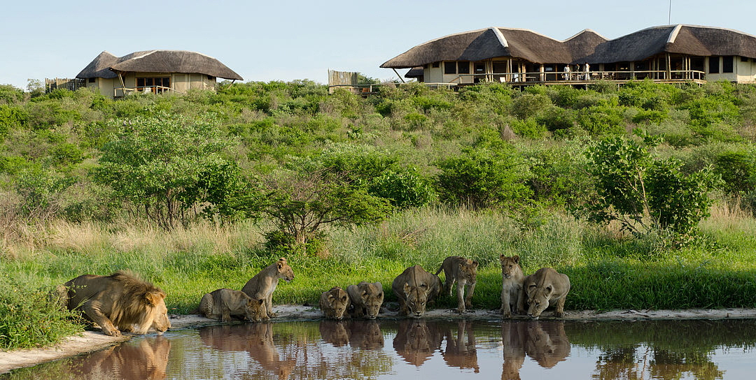 Tau Pan Safari Lodge 